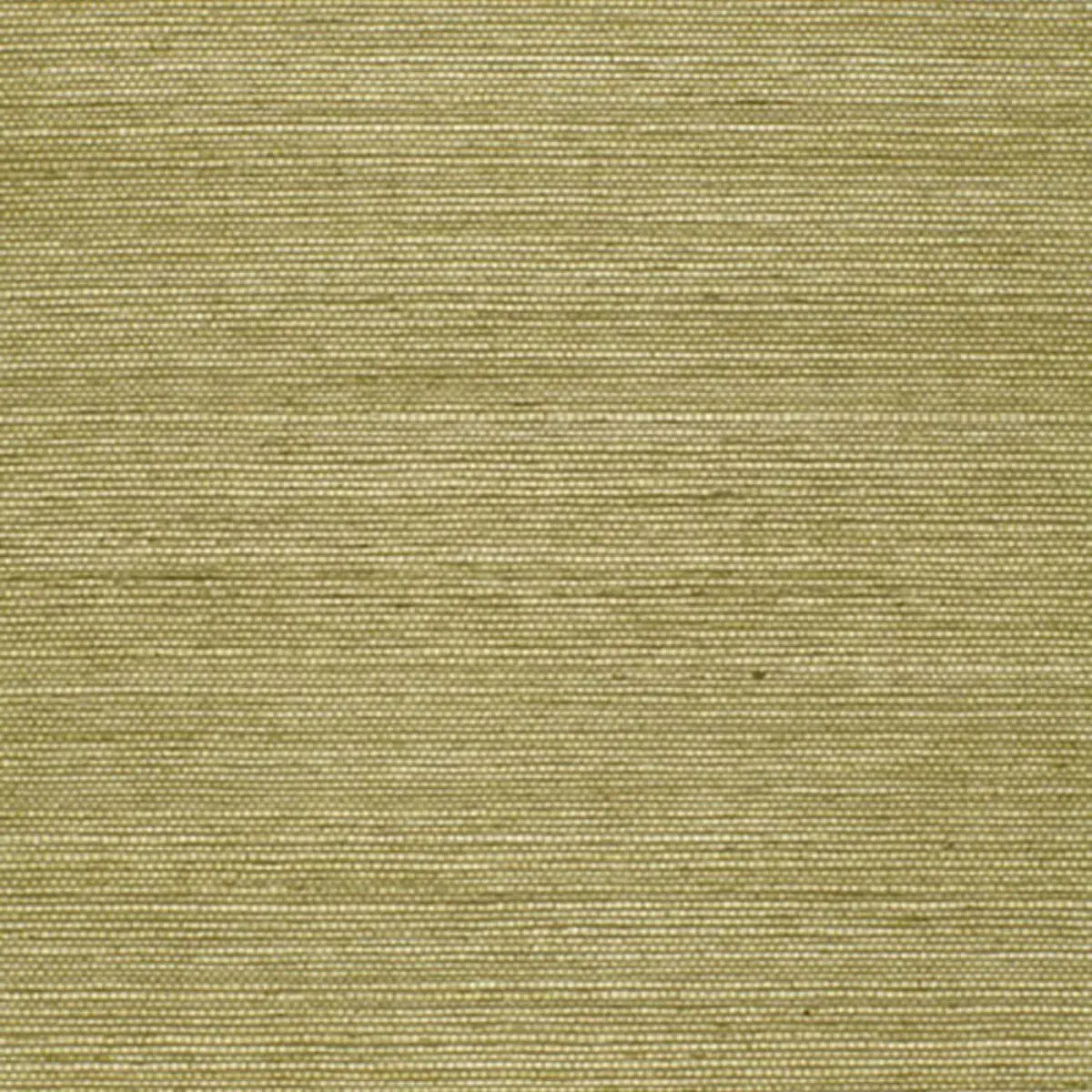 Schumacher Olive / 8 yards Haruki Sisal Wallpaper 5004709