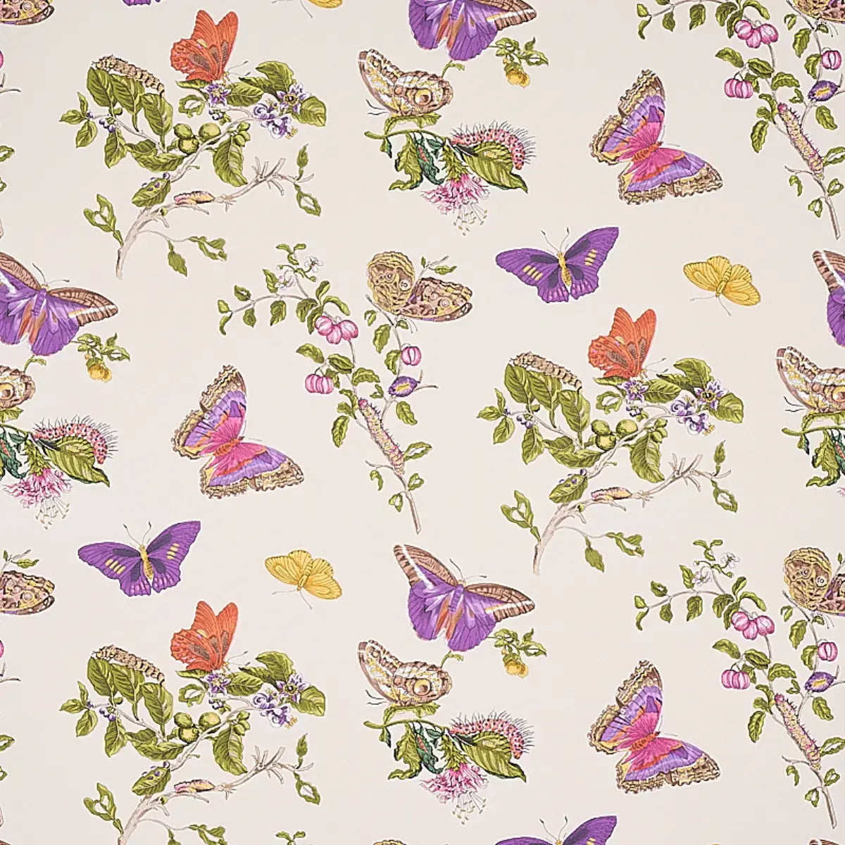 Schumacher Purple / 10 yards Baudin Butterfly Wallpaper