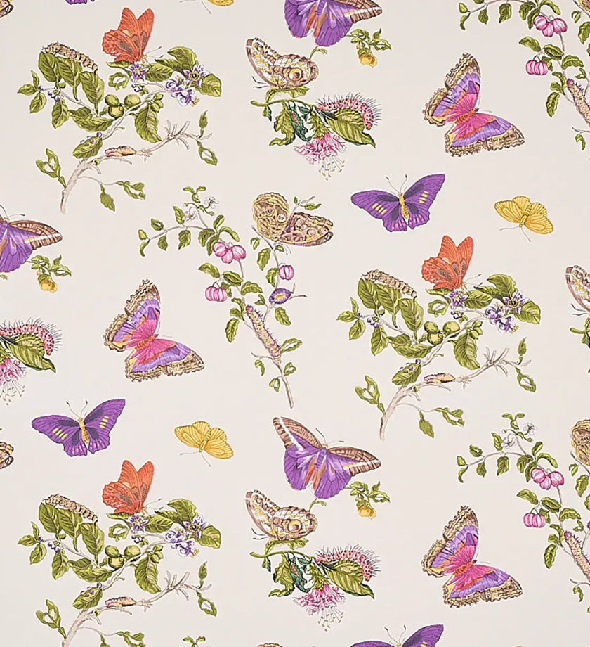 Baudin Butterfly Wallpaper