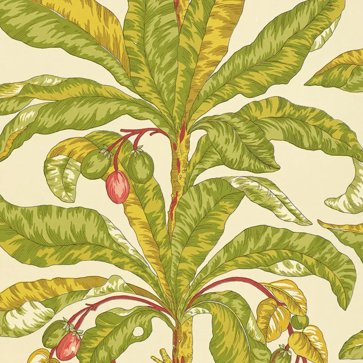 Schumacher Tropical / 11 yards Blair House Palm Wallpaper