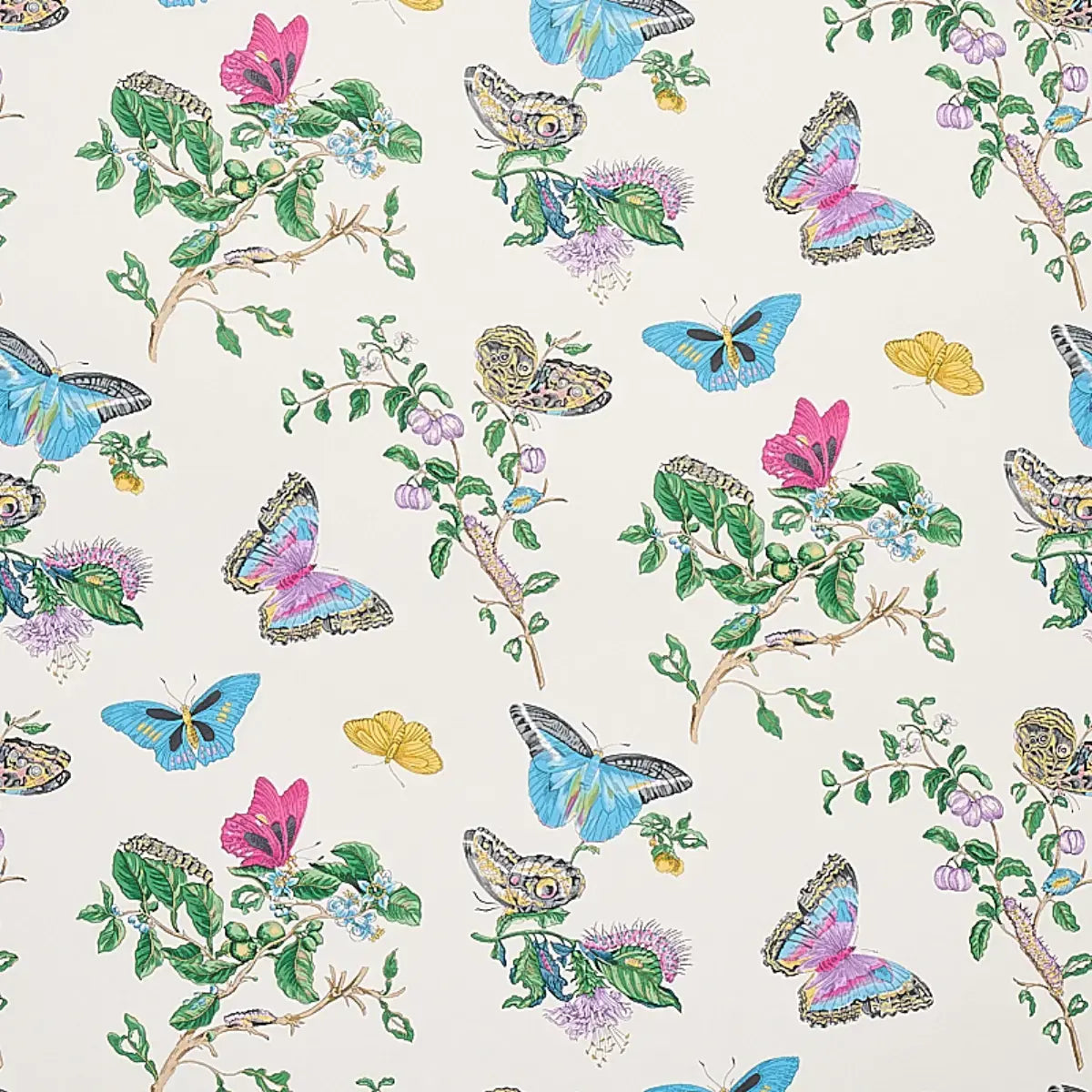Schumacher Turquoise / 10 yards Baudin Butterfly Wallpaper