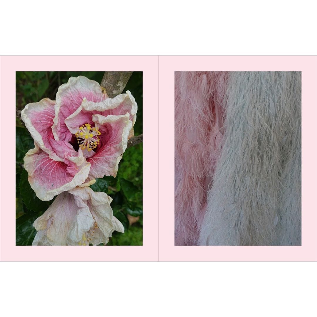 Simblist Group Beige Is Not a Color: The Full-Spectrum World of Carlos Mota Books