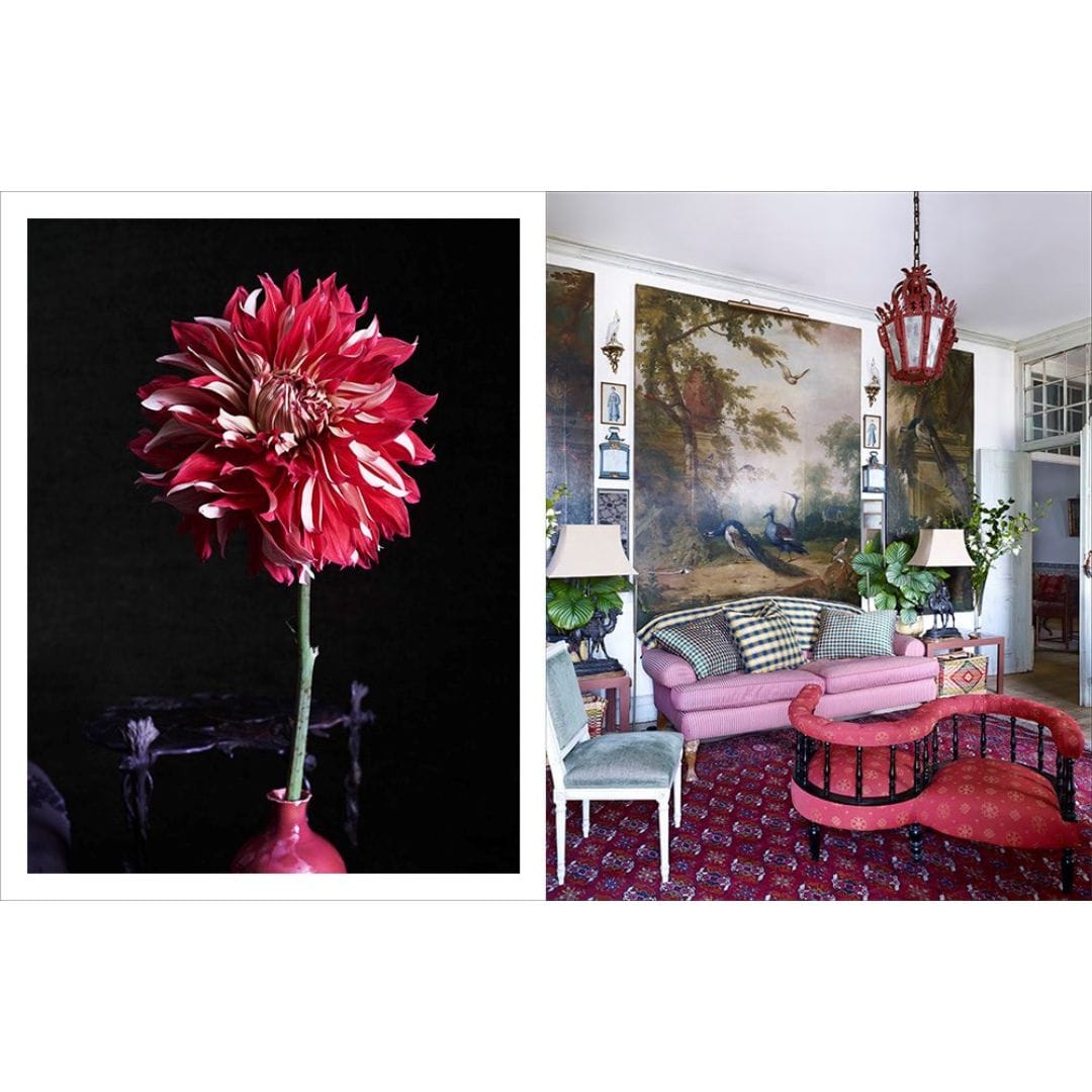 Simblist Group Beige Is Not a Color: The Full-Spectrum World of Carlos Mota Books