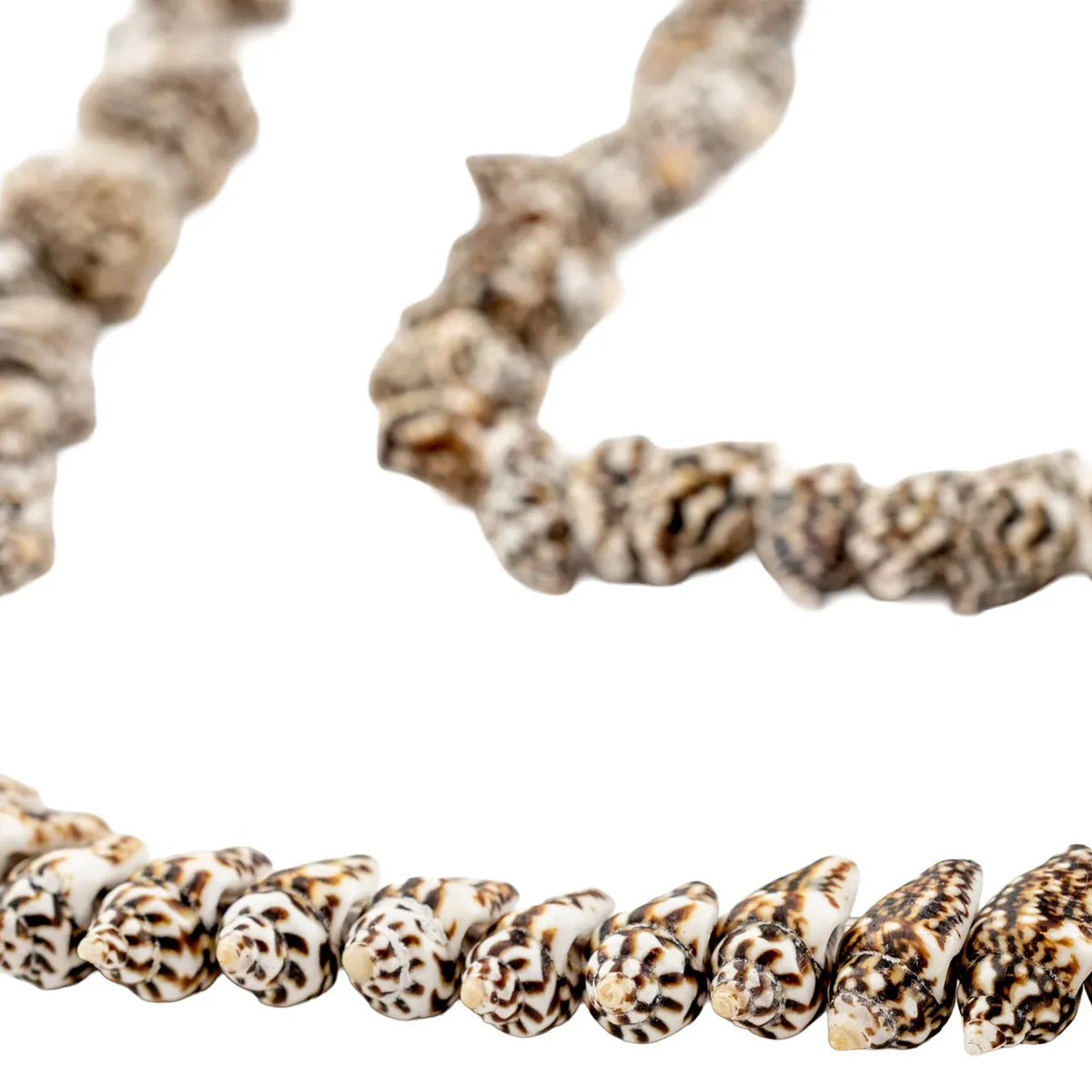 The Bead Chest Dark Brown Tiger Natural Shell Beads Decorative Beads PAC-UNUBRN-129