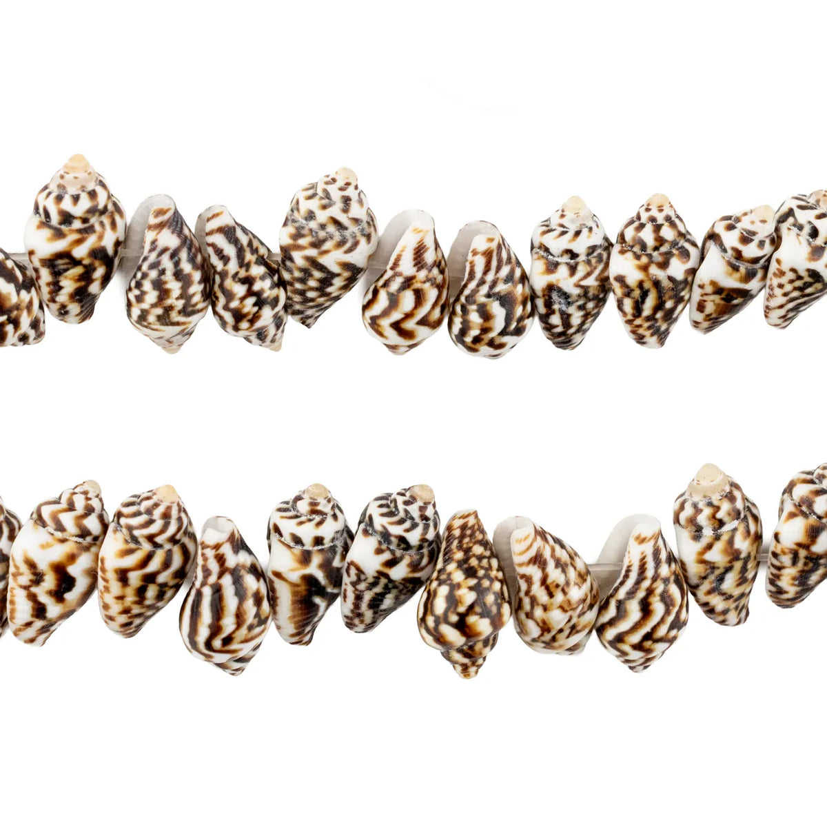 The Bead Chest Dark Brown Tiger Natural Shell Beads Decorative Beads PAC-UNUBRN-129
