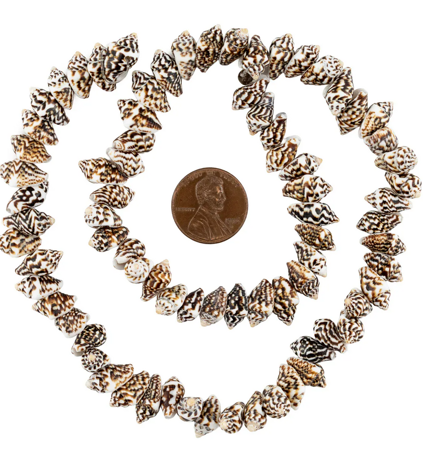 Dark Brown Tiger Natural Shell Beads - secondary