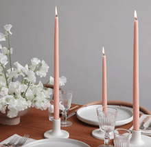 The Floral Society Petal - Dipped Taper Candle Candles