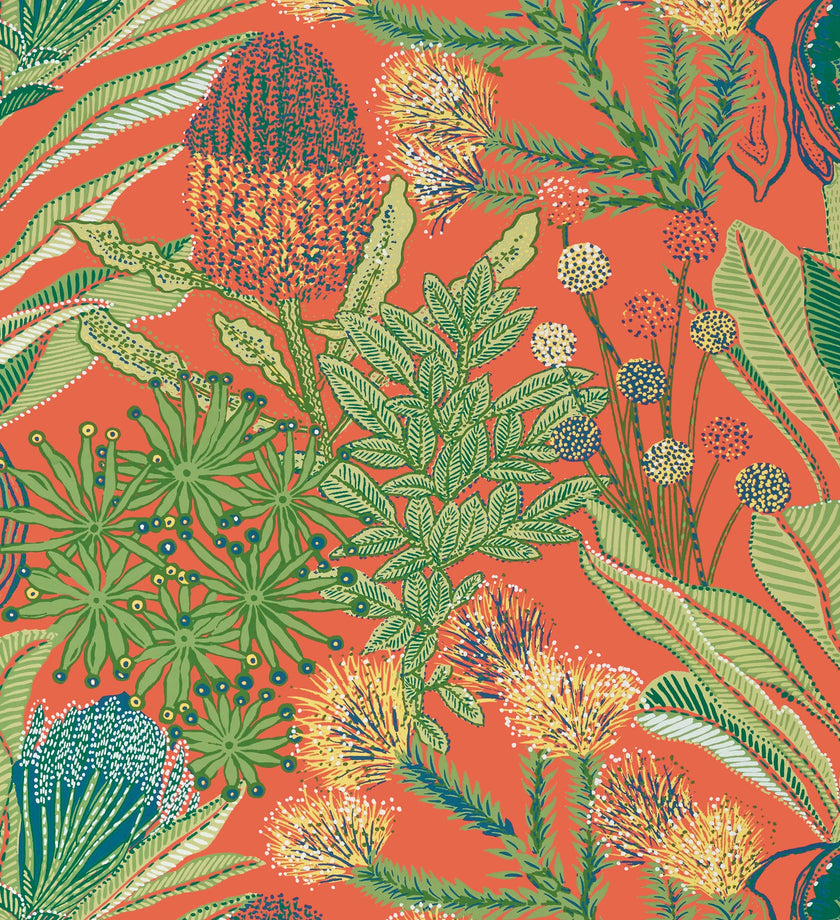 Protea - secondary