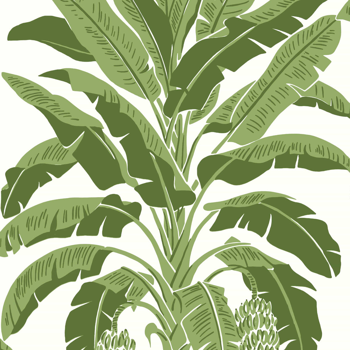Thibaut Green / 2 Rolls Banana Tree Wallpaper T13914