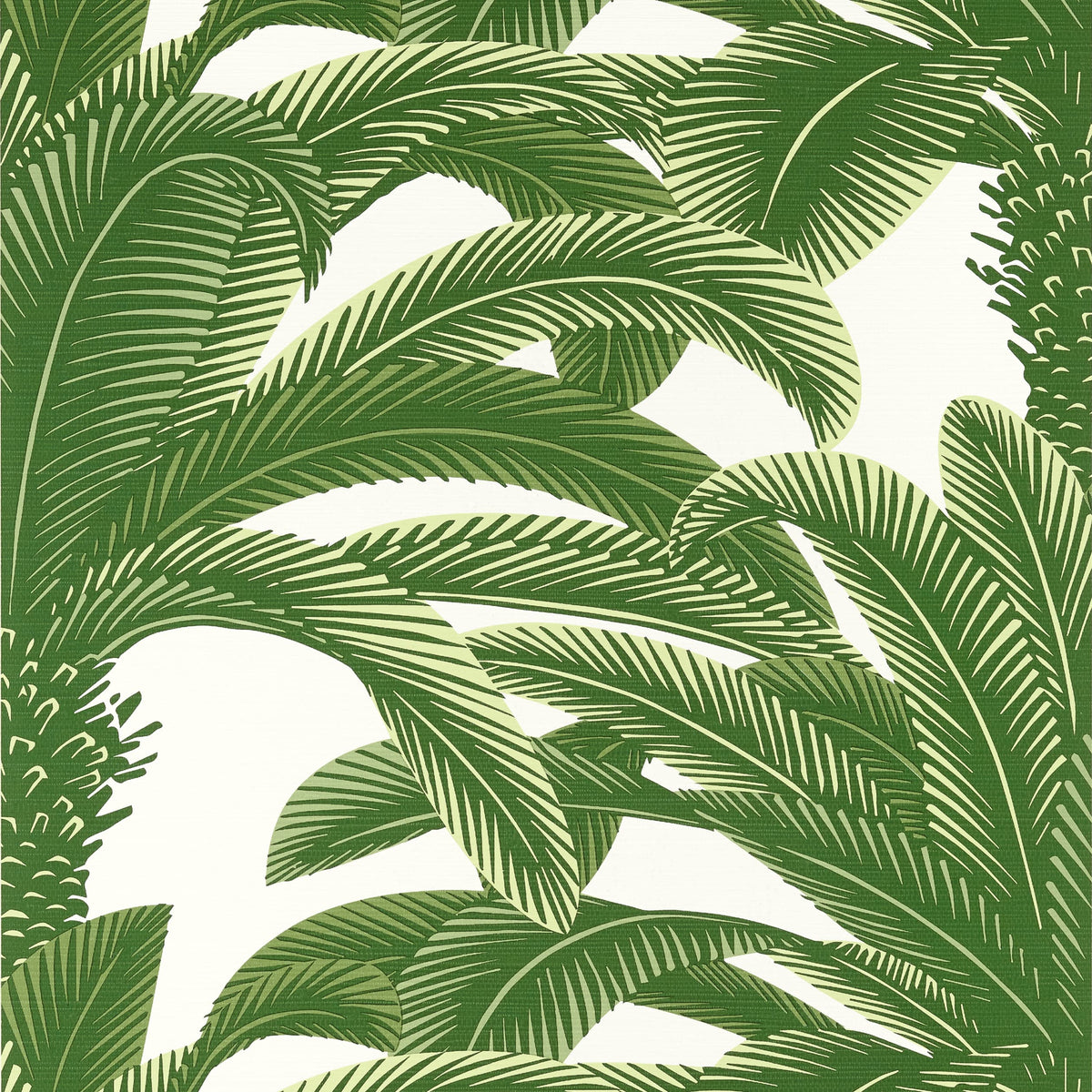 Thibaut Green / 2 Single Rolls Queen Palm Wallpaper T13907
