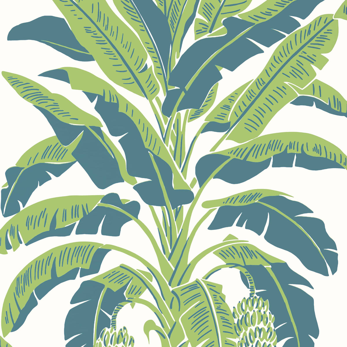 Thibaut Green and Blue / 2 Rolls Banana Tree Wallpaper T13918