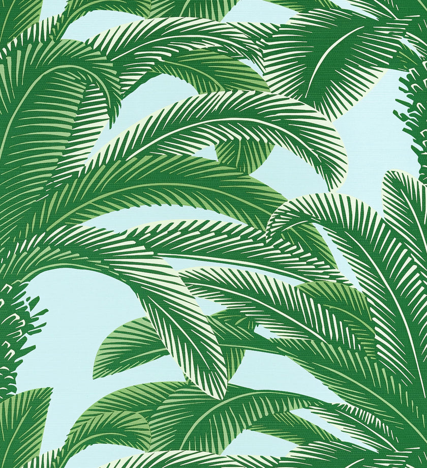 Queen Palm - secondary