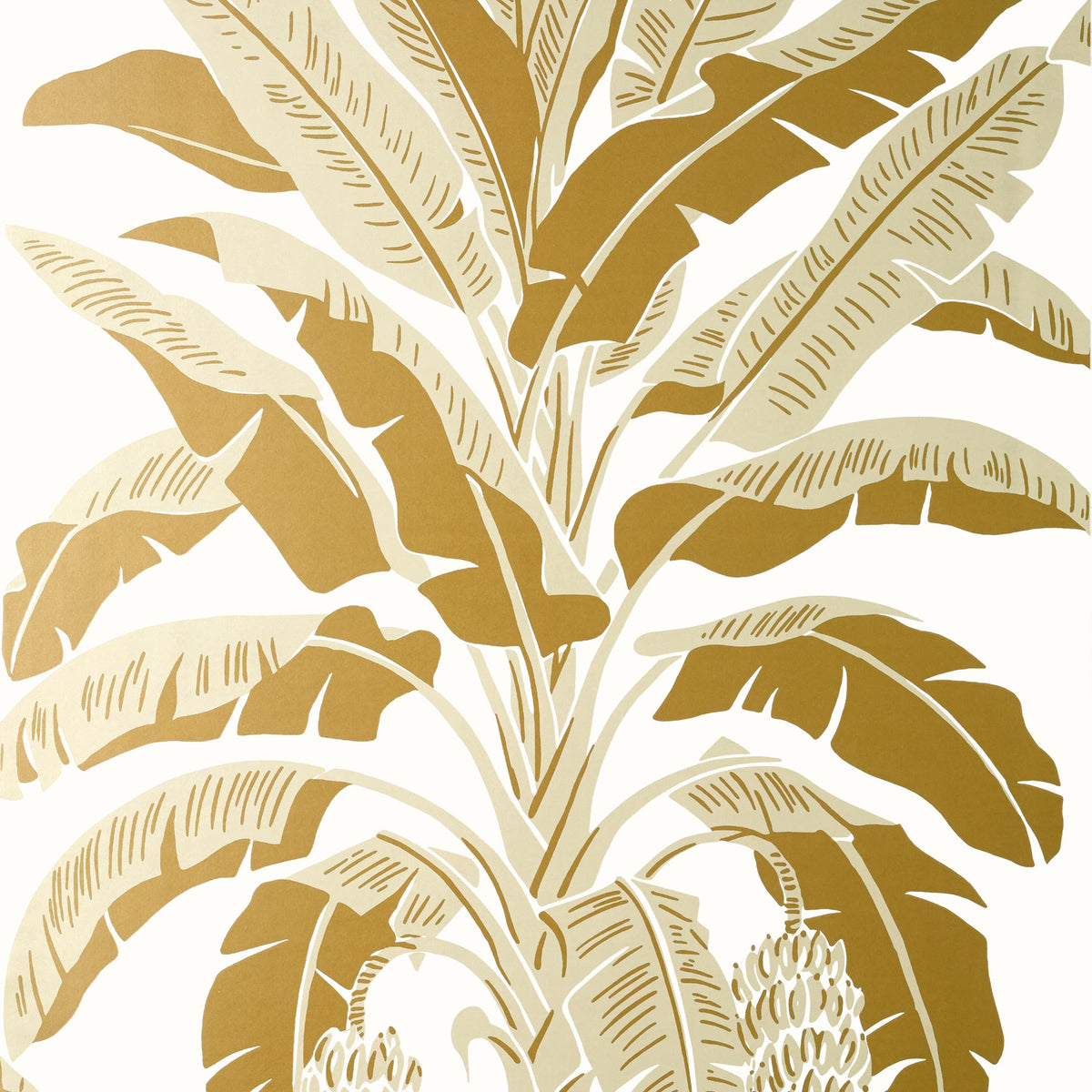 Thibaut Metallic Gold / 2 Rolls Banana Tree Wallpaper T13919