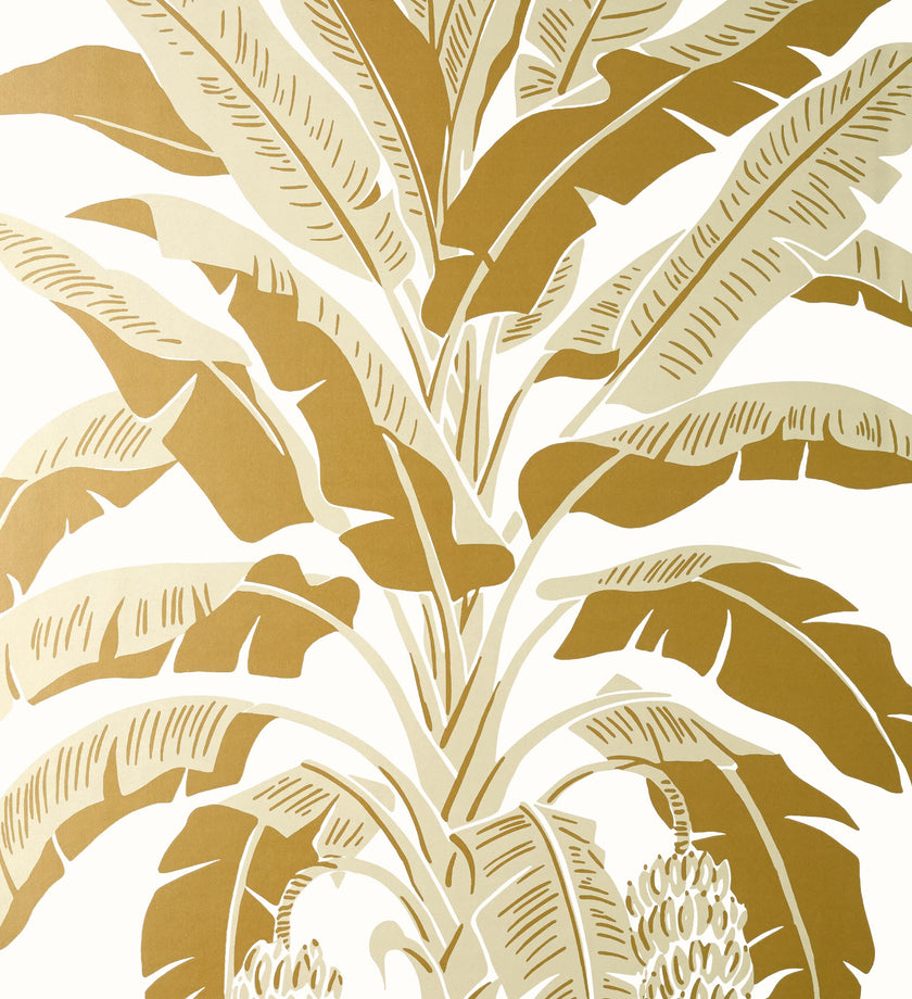 Banana Tree