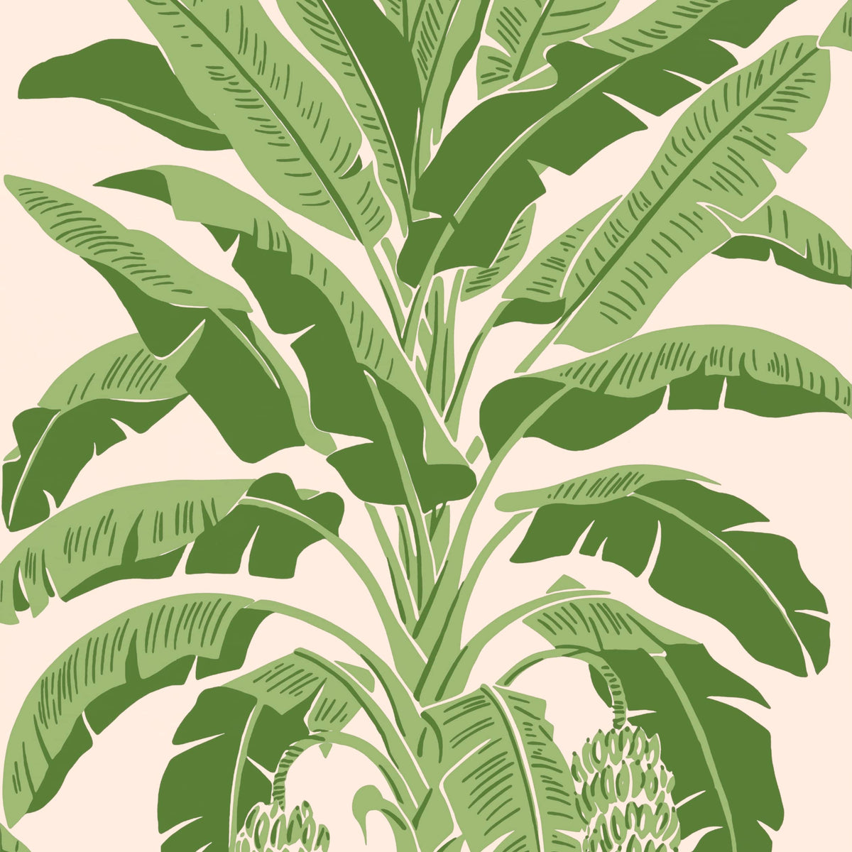 Thibaut Pink and Green / 2 Rolls Banana Tree Wallpaper T13917