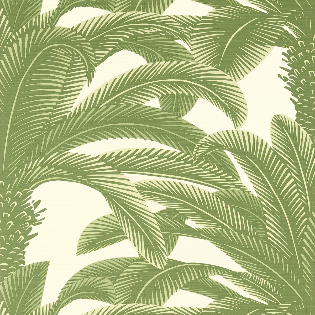 Thibaut Sage / 2 Single Rolls Queen Palm Wallpaper T13911