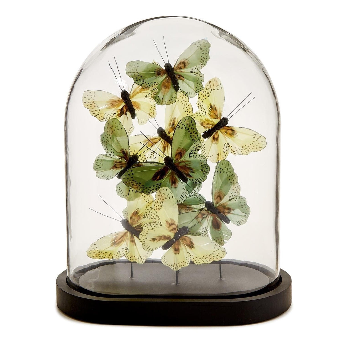 Tozai Flora and Fauna Butterflies in Oval Dome Sculpture Sculptures FNG006-GRN