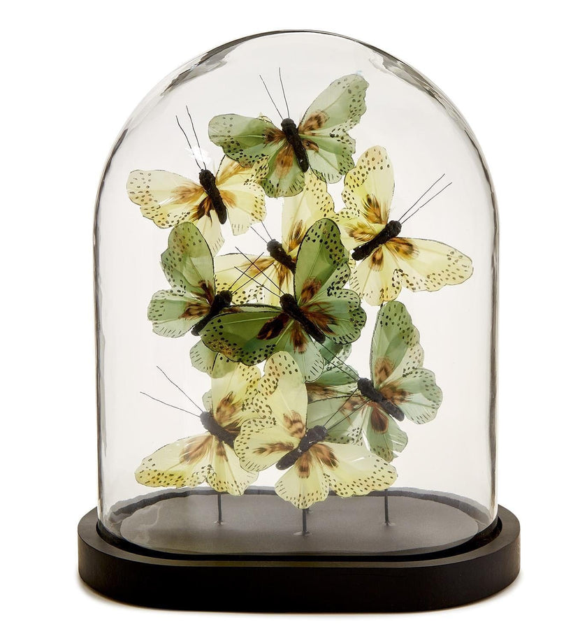 Flora and Fauna Butterflies in Oval Dome Sculpture