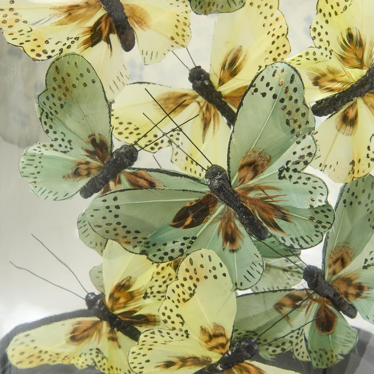 Tozai Flora and Fauna Butterflies in Oval Dome Sculpture Sculptures FNG006-GRN