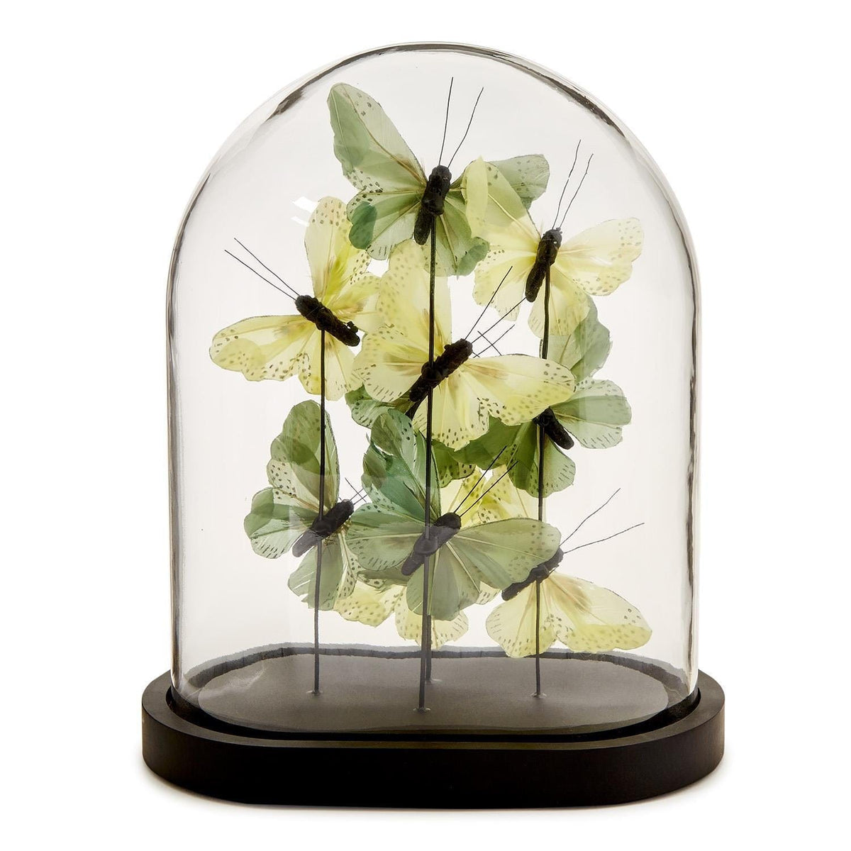 Tozai Flora and Fauna Butterflies in Oval Dome Sculpture Sculptures FNG006-GRN