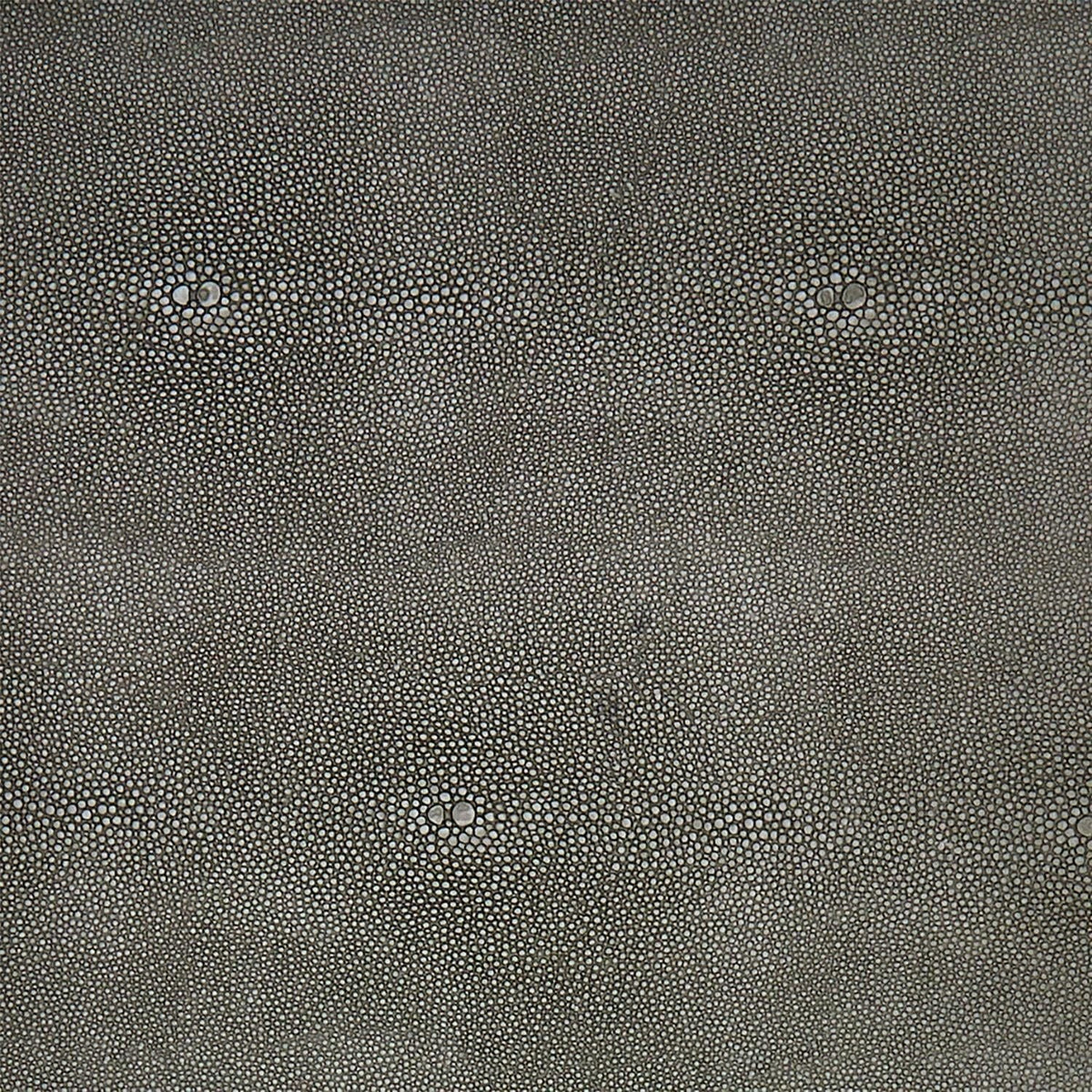 Tozai Grey Shagreen Decorative Boxes Decorative Boxes