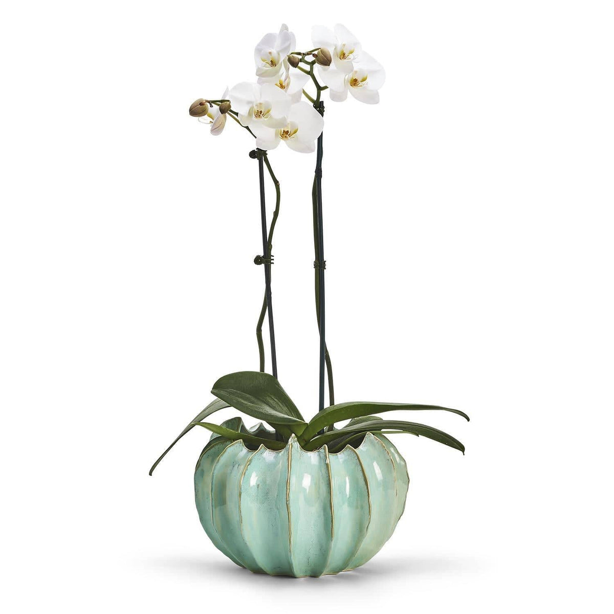 Tozai Large Celadon Gourd Vase Vase CYC029