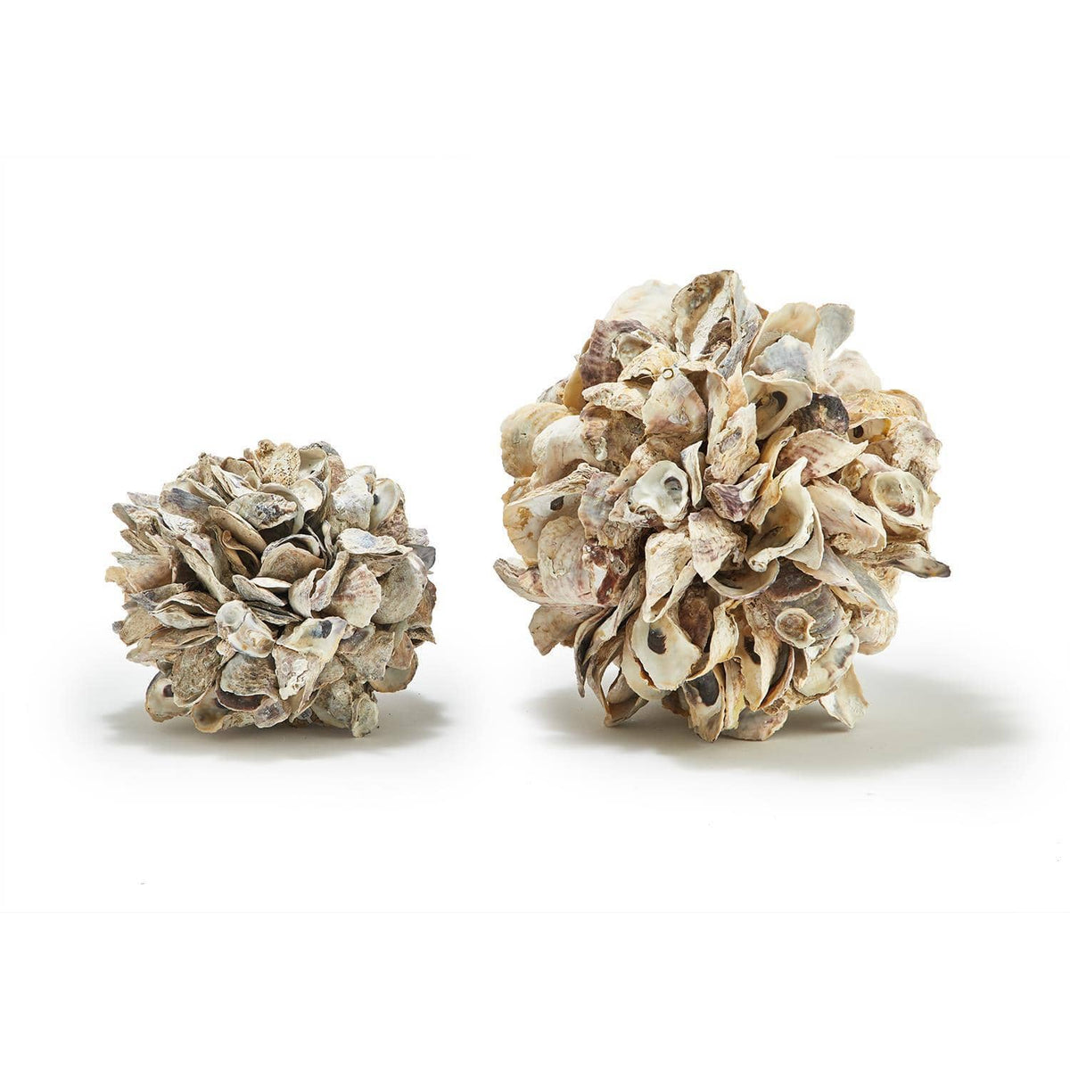 Tozai Oyster Shells Decorative Ball Decorative Objects
