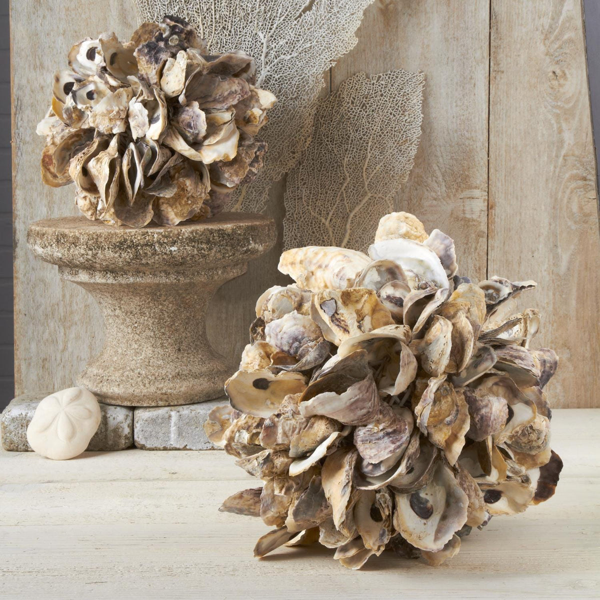 Tozai Oyster Shells Decorative Ball Decorative Objects