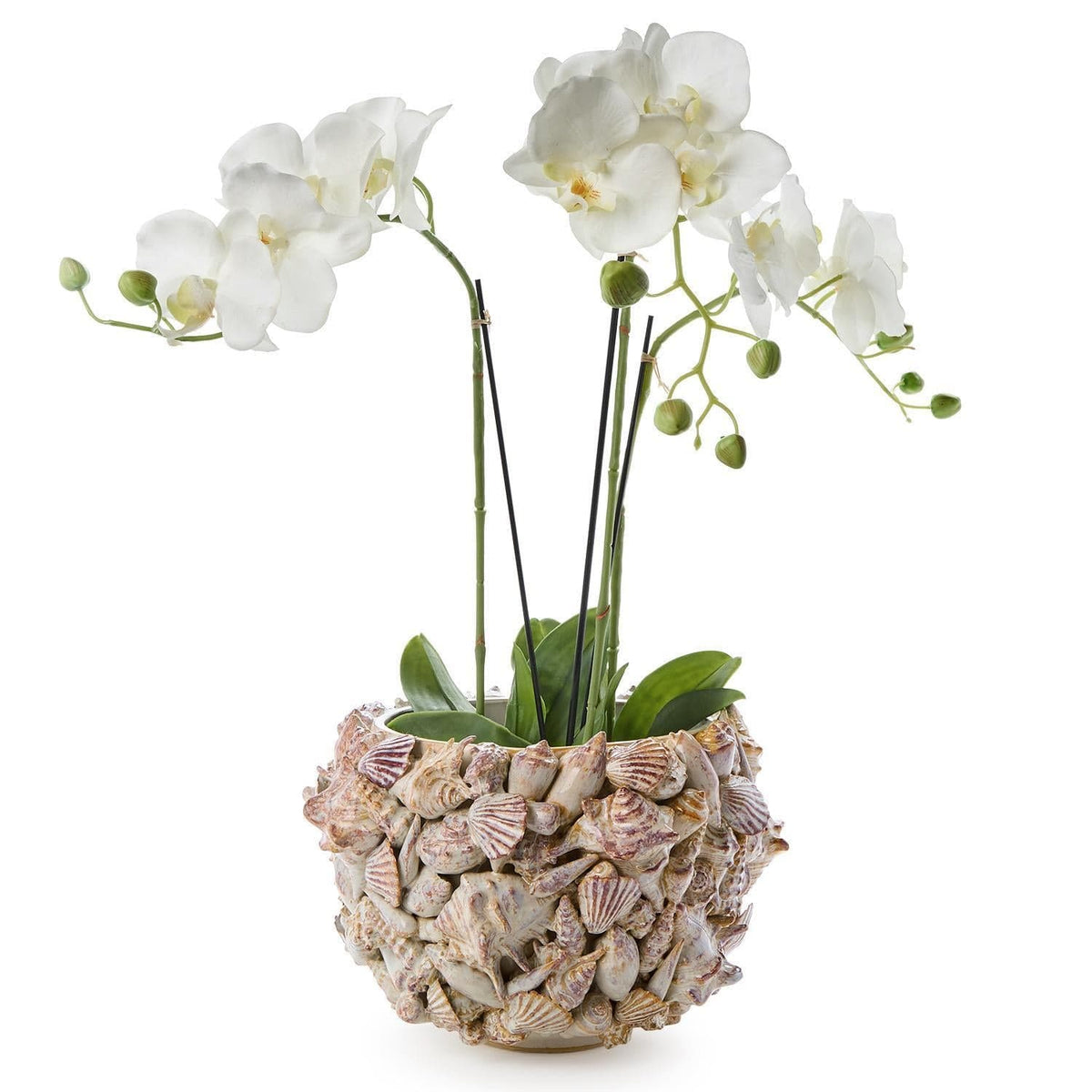 Tozai Shell Hand Crafted Planter Pots & Planters CYC043