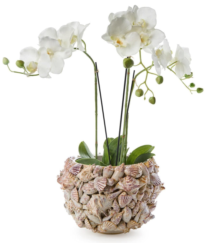 Shell Hand Crafted Planter
