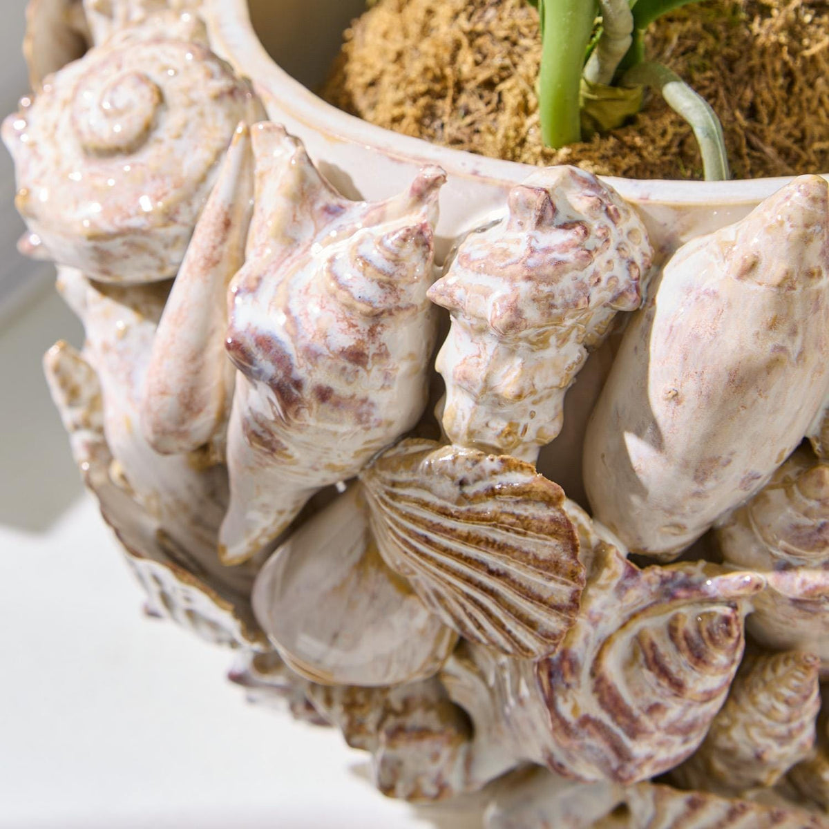 Tozai Shell Hand Crafted Planter Pots & Planters CYC043