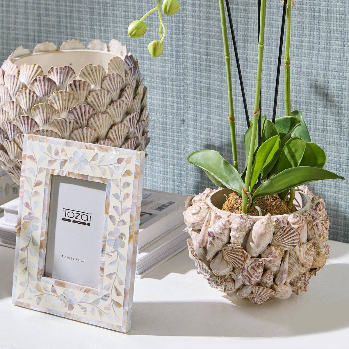 Tozai Shell Hand Crafted Planter Pots & Planters CYC043