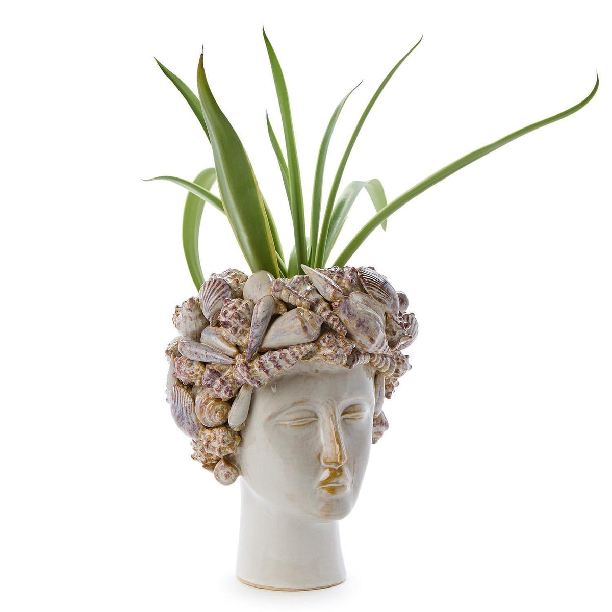 Tozai Shell Head Planter Pots & Planters CYC044