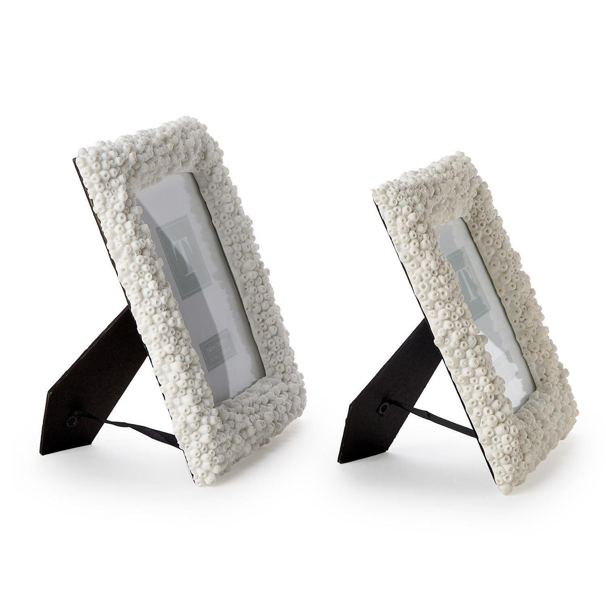 Tozai White Tube Coral Frames Picture Frames