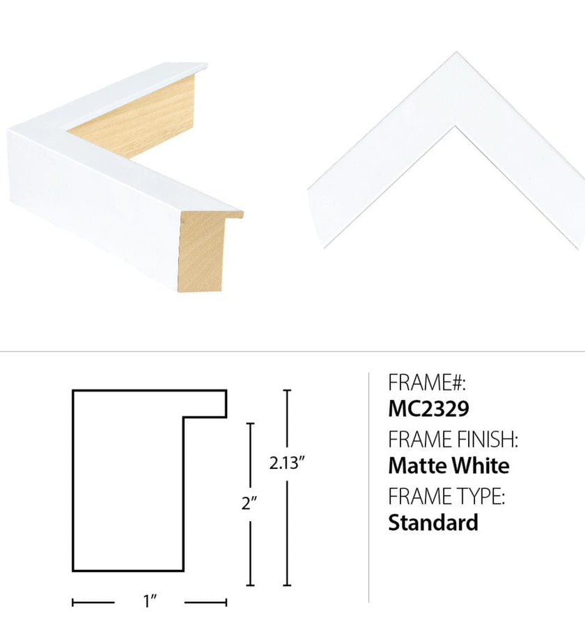 Coastal Daze 1 - secondary