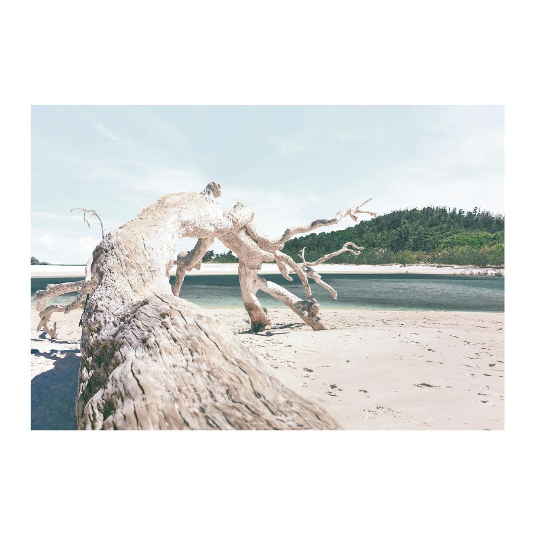 Wendover Art Drift Along Artwork WPH2129