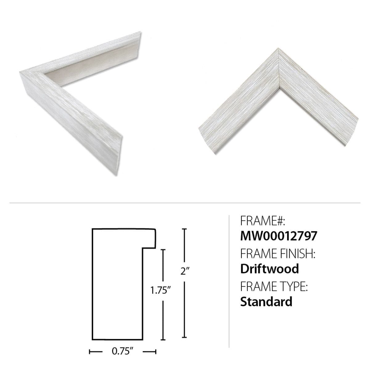 Wendover Art I Ain't Lion 1 Artwork WTFH1724