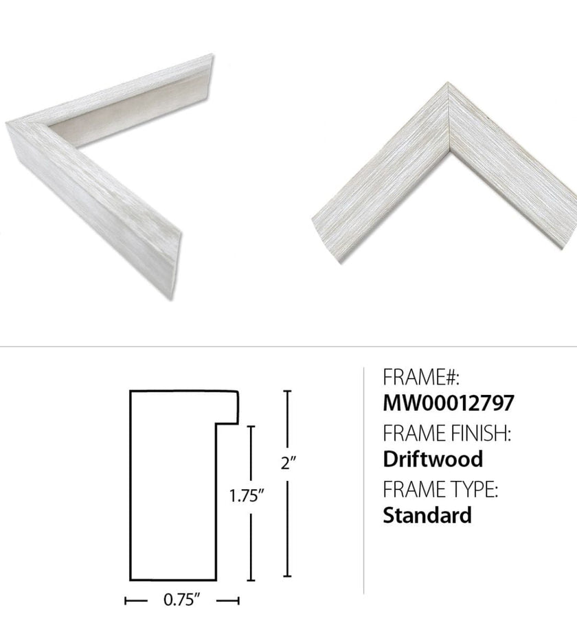 I Ain't Lion 2 - secondary