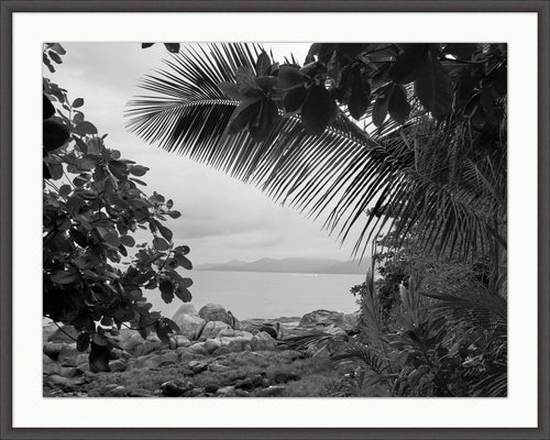 Wendover Art Tahitian Palm Artwork WLA1333