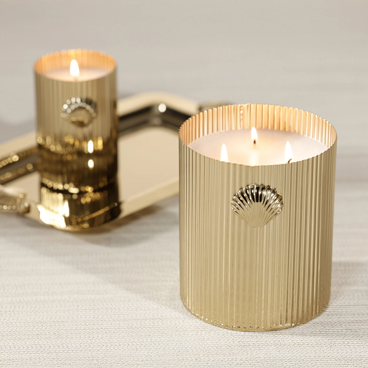 Zodax Cap Ferrat Fan Shell Design Candle in Gift Box Candles