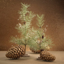 Zodax Needle Pine Tree with Small Pine Cones Miniature Trees CH-6201