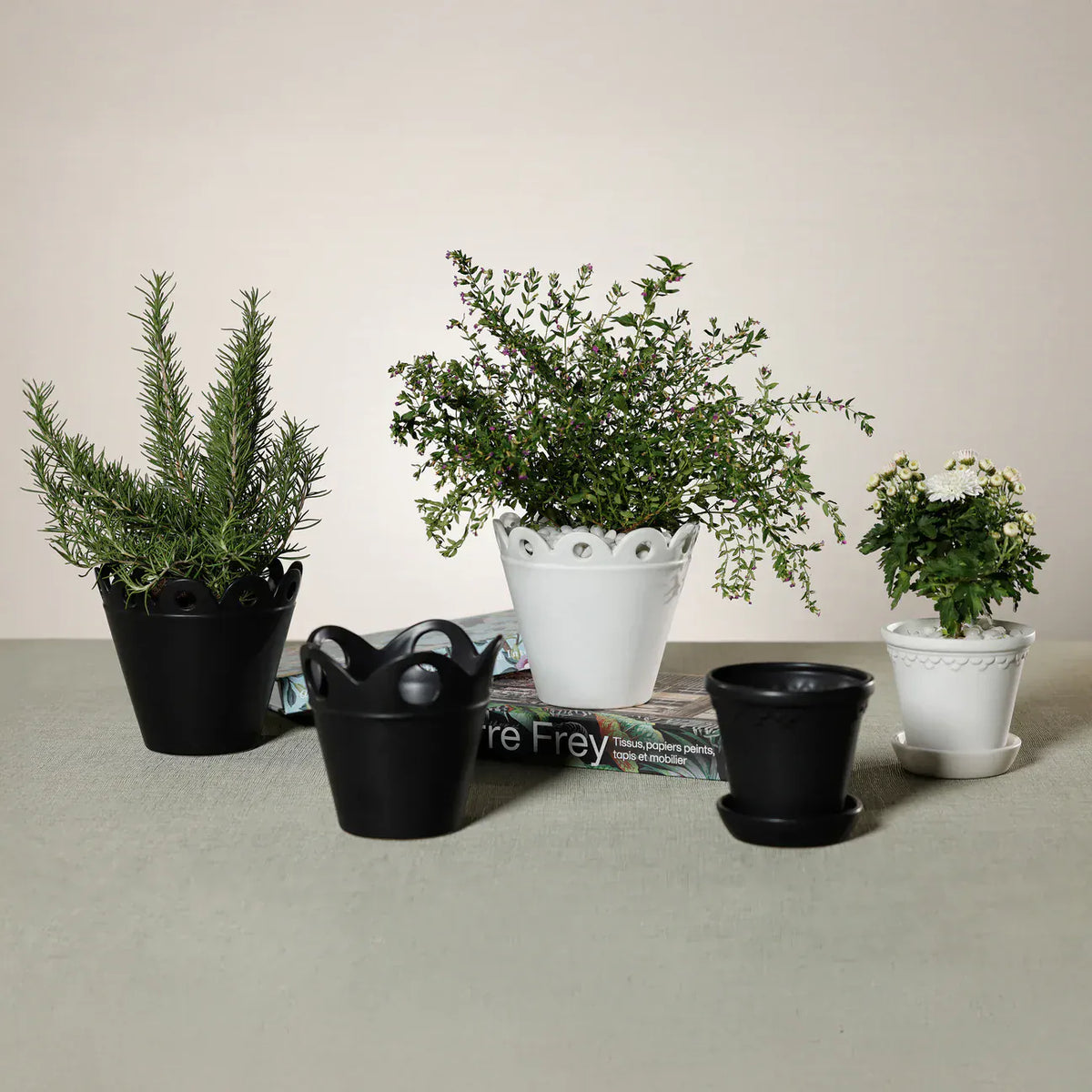 Zodax Petal Rim Flower Pot - White Pots & Planters