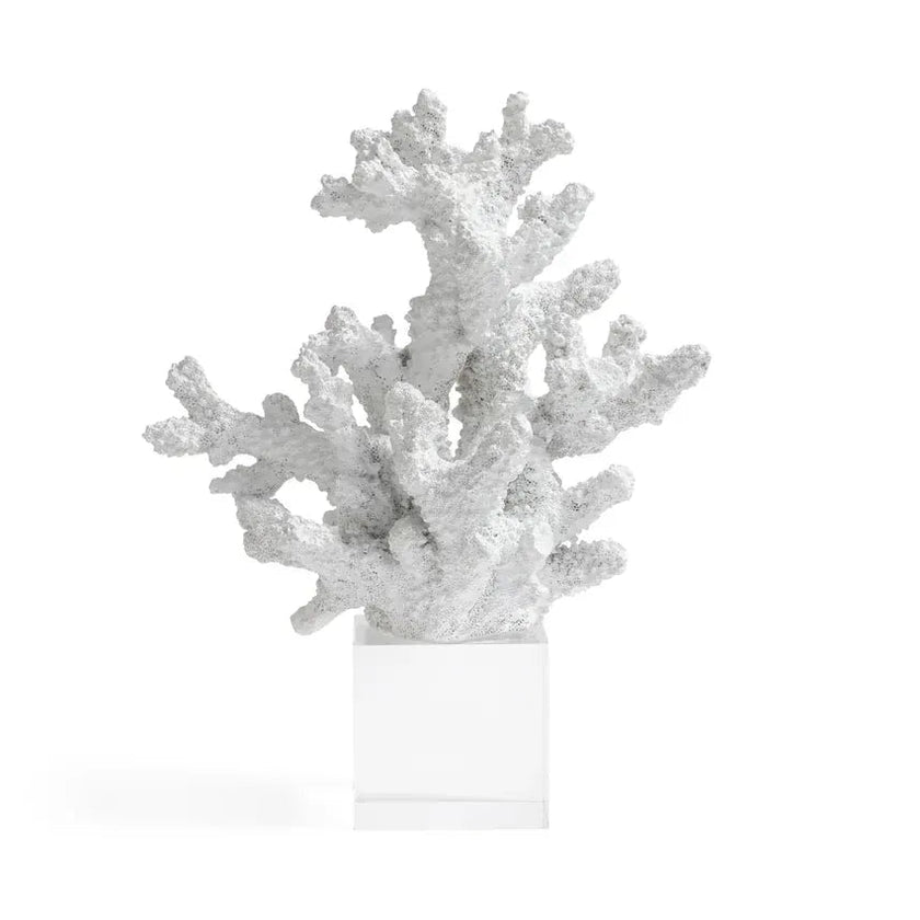White Resin Coral on Acrylic Base