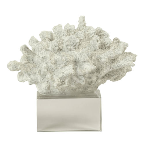 Zodax White Coral on Acrylic Base CH-5927