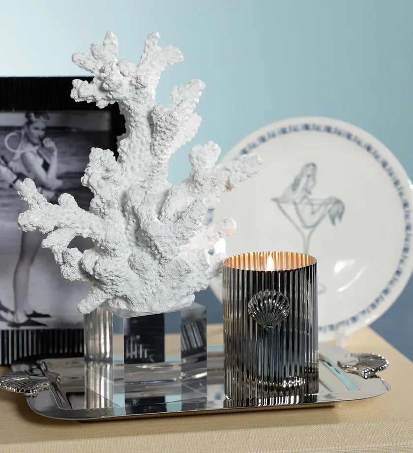 White Resin Coral on Acrylic Base - secondary